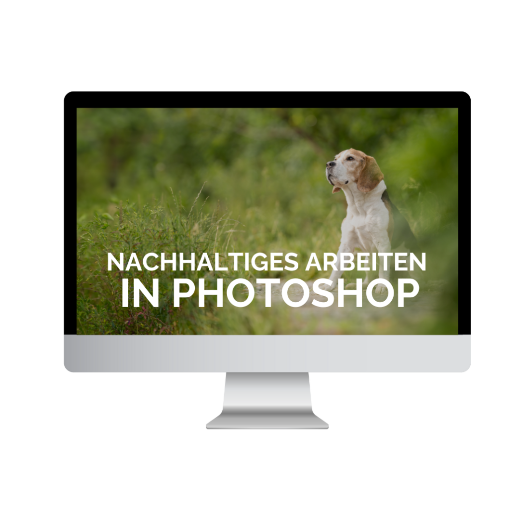 Farbgestaltung Fotografie Webinare Photoshop erstellen