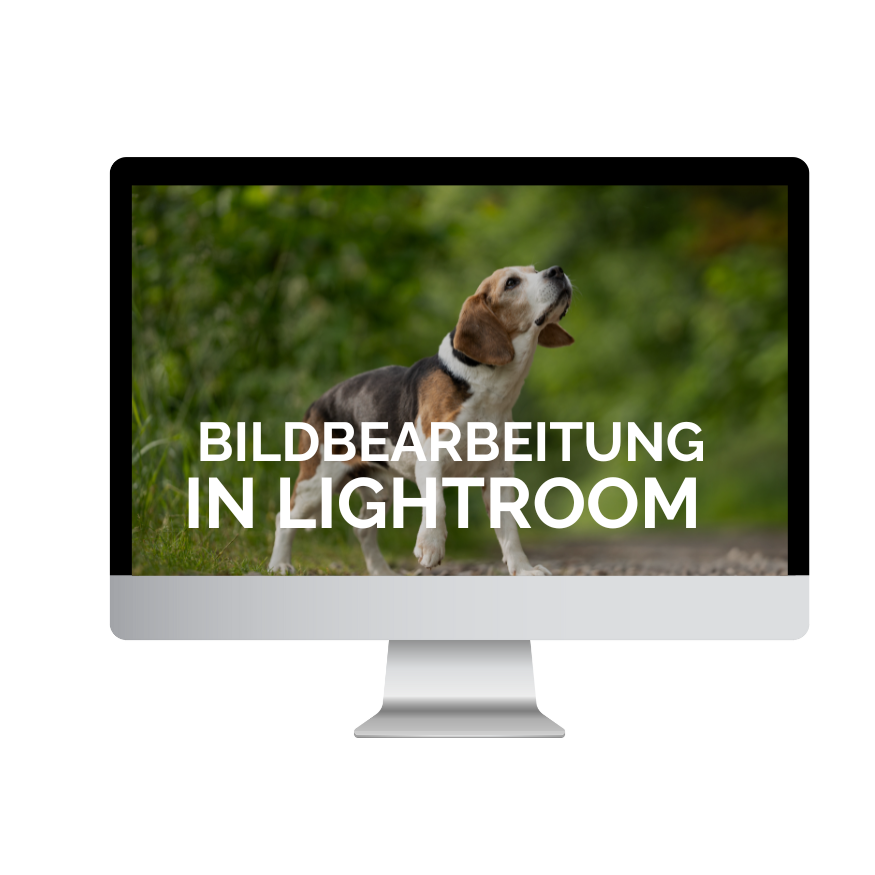 Farbgestaltung Fotografie Webinare Lightroom erstellen