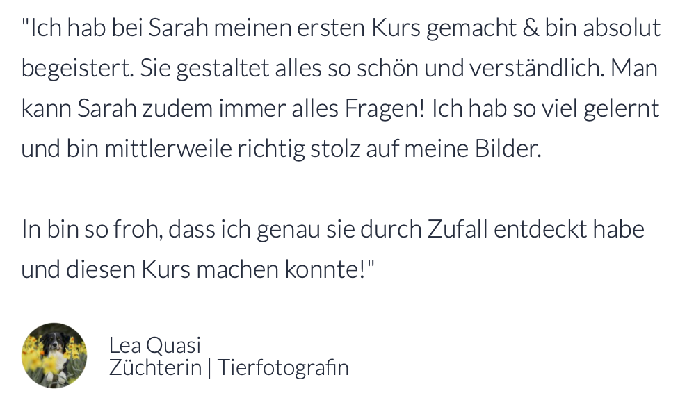 Feedback zum Kurs